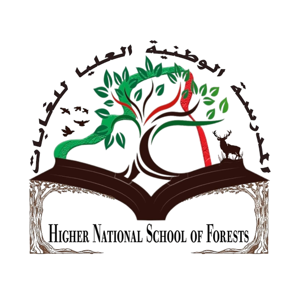 logo-rounded-corner